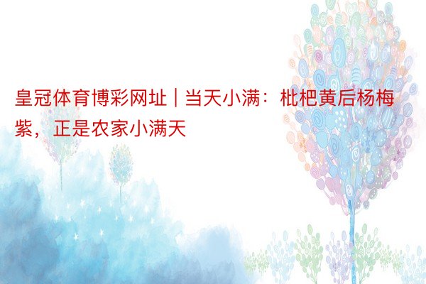 皇冠体育博彩网址 | 当天小满:枇杷黄后杨梅紫,正是农家小满天