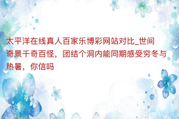 太平洋在线真人百家乐博彩网站对比_世间奇景千奇百怪,团结个洞内能同期感受穷冬与热暑,你信吗