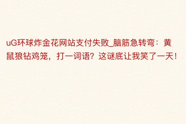 uG环球炸金花网站支付失败_脑筋急转弯:黄鼠狼钻鸡笼,打一词语?这谜底让我笑了一天!
