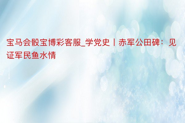 宝马会骰宝博彩客服_学党史丨赤军公田碑：见证军民鱼水情